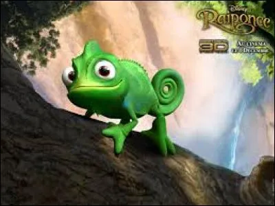 Le caméléon chasse à l'aide de sa langue. Quand il se sert de sa queue, c'est pour :