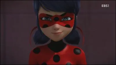 Que font Ladybug et Chat Noir ? (J'ai bien dit Ladybug et Chat Noir)