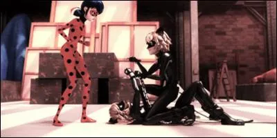 Pourquoi deux chats ?