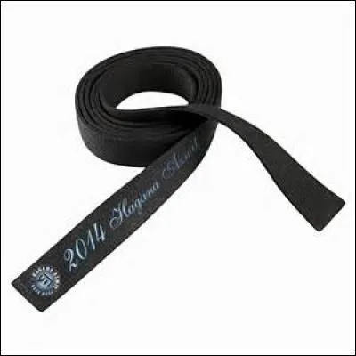 Au judo, à quelle ceinture succède la ceinture noire ?