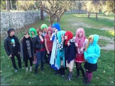 Sur quoi porte leur chaîne ?