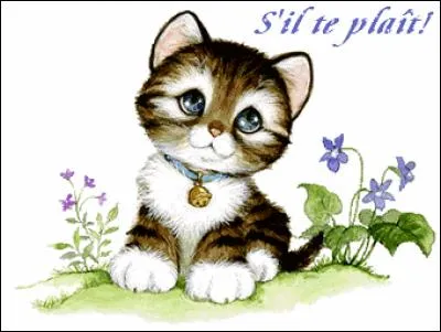 Comment dit-on "S'il vous plaît" en allemand ?