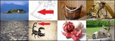 Quel acteur a joué dans ce film ?