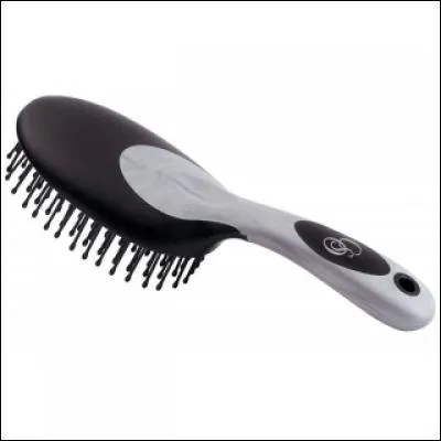 Sais-tu quelle est cette brosse ?