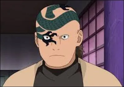 Quelle est l'occupation de Shamon ?