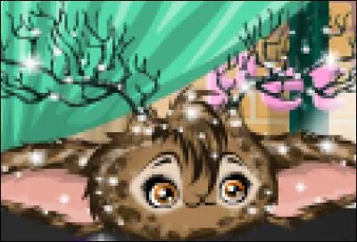 Combien coûtent les Boonies ou Bonsters sur MSP ?