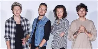 Où retrouve-t-on One Direction ?