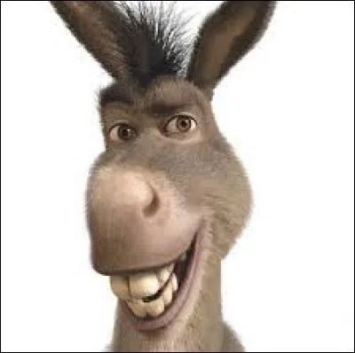 Comment dit-on "âne" en anglais ?