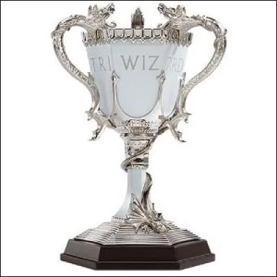 Qui sont les champions du tournoi des 3 sorciers ?