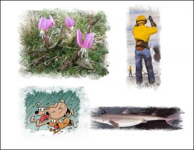 Le mot mystère est :