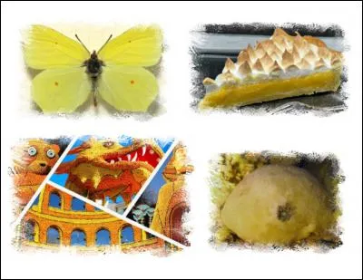 Le mot mystère est :