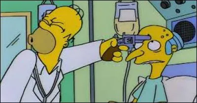 Dans un épisode des Simpson, Homer tire sur Burns.