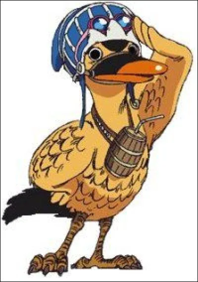 Comment s'appelle le canard qui est toujours avec la princesse Vivi ?