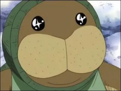 Pourquoi les Kung Fu Dugongs veulent-ils être les disciples de Luffy ?