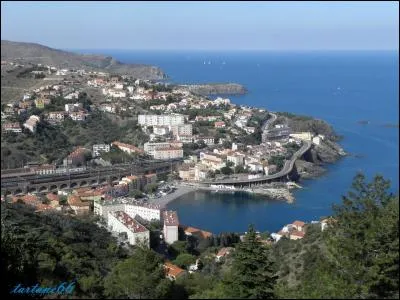 Quel est le port de p&ecirc;che des Pyr&eacute;n&eacute;es-Orientales qui porte le nom d'un animal de la mythologie grecque ?