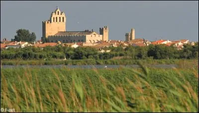 Quel village de Camargue poss&egrave;de la statue de Sara la Noire dans son &eacute;glise ?
