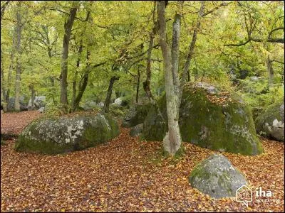 Dans quelle ville d'Ile-de-France, c&eacute;l&egrave;bre pour son ch&acirc;teau royal et sa for&ecirc;t, Louis XIV r&eacute;voqua-t-il l'Edit de Nantes ?