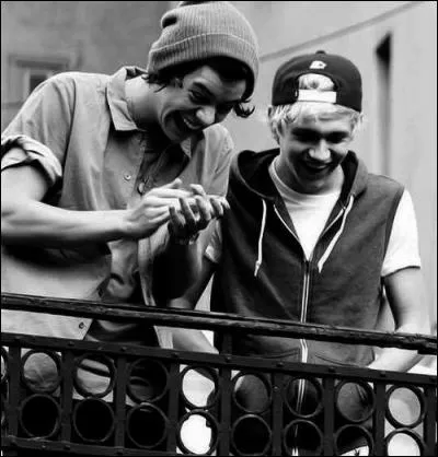 Quel adjectif le qualifierait mieux ?