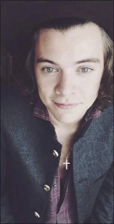 Quelle langue maîtrise-t-il bien ?