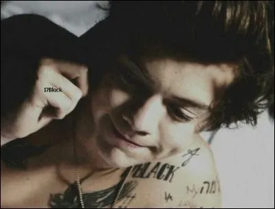 Quel animal de compagnie a-t-il ?