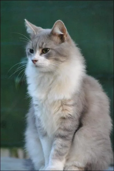 Celui de sa mère est :