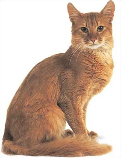 Et celui de son frère ?