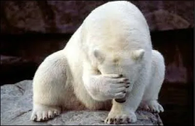 Inutile d'aller se plaindre --- responsables.