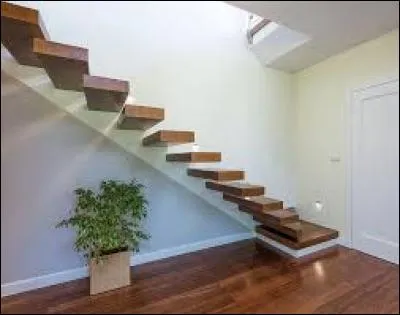 Il veut monter en --- de l'escalier.