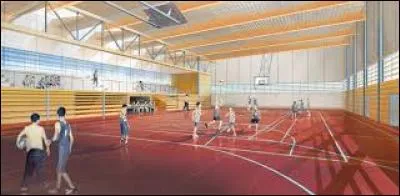 Je dois aller --- gymnase pour m'entraîner.