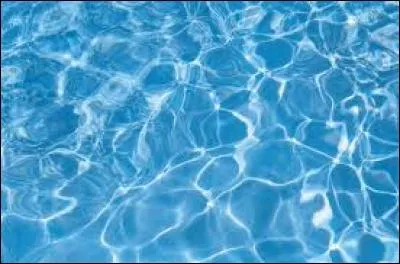 L'--- de cette rivière est toxique.