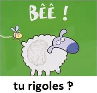 La bélière est la femelle du bélier.