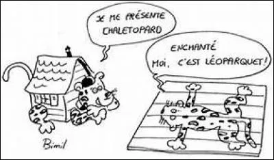 Croisez le bedon et la bedondaine et vous faites un mot valise.