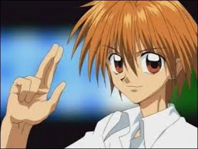 Au début de l'anime, Kaito est amoureux de :