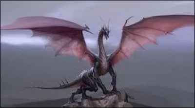 S'il est soldat, le dragon...