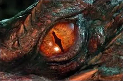 Quel est le nom du héros dans le film d'animation ''Dragons'' et ''Dragons 2'' ?