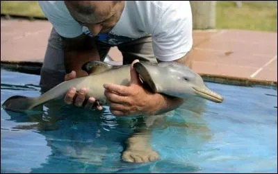 Et nous finissons par : Prendre un enfant par la main !
