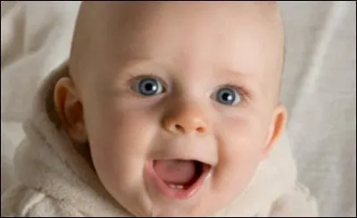 T'en fais pas : Mon p'tit loup !