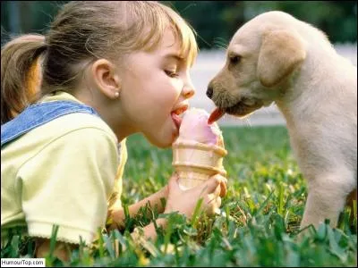 Allez tiens, une colle à l'odeur d'érable : Je voudrais voir ton visage !