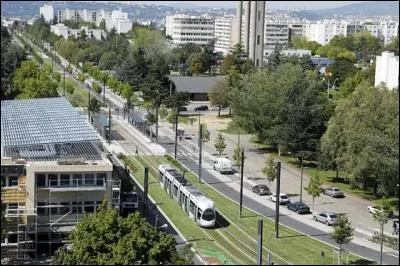 Les nombreux parcs et les marchés de Vénissieux sont les lieux de rendez-vous...