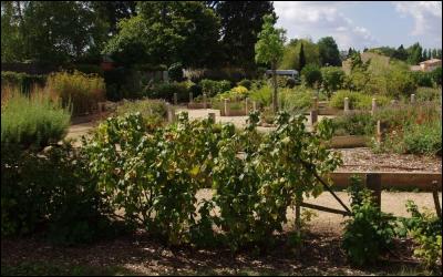 Le Jardin des Senteurs et Saveurs de Soyaux, en Charente, fait le bonheur de ses habitants...
