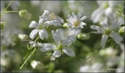 Personne rejetée, exclue :