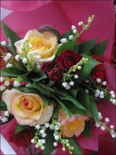 Enclos où les chevaux sont promenés à la main avant le départ d'une course hippique :