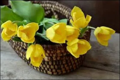 Drap noir très fin fabriqué à Sedan, ville française des Ardennes :