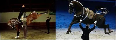 Paradoxalement, notre armée ne respecte pas réellement le principe de laïcité. Elle a ses « dieux » ! 
Mais qui sont ces « dieux » ?