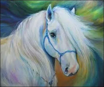 "Kola". Une seule lettre change et le "kola" devient instrument de musique.