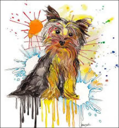 "Oronge". Vous préférez un fruit à ce champignon, changez vite la lettre suivante.