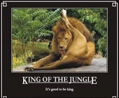 Laquelle de ces personnalités ne porte pas le simple surnom de "The King" ("Le Roi" en anglais) ?