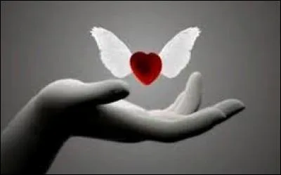 Roger est surtout connu pour sa _________ .