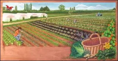 C'est un métier _________