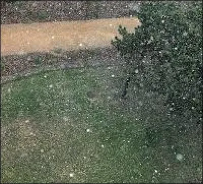 Tantôt une pluie de ________ !